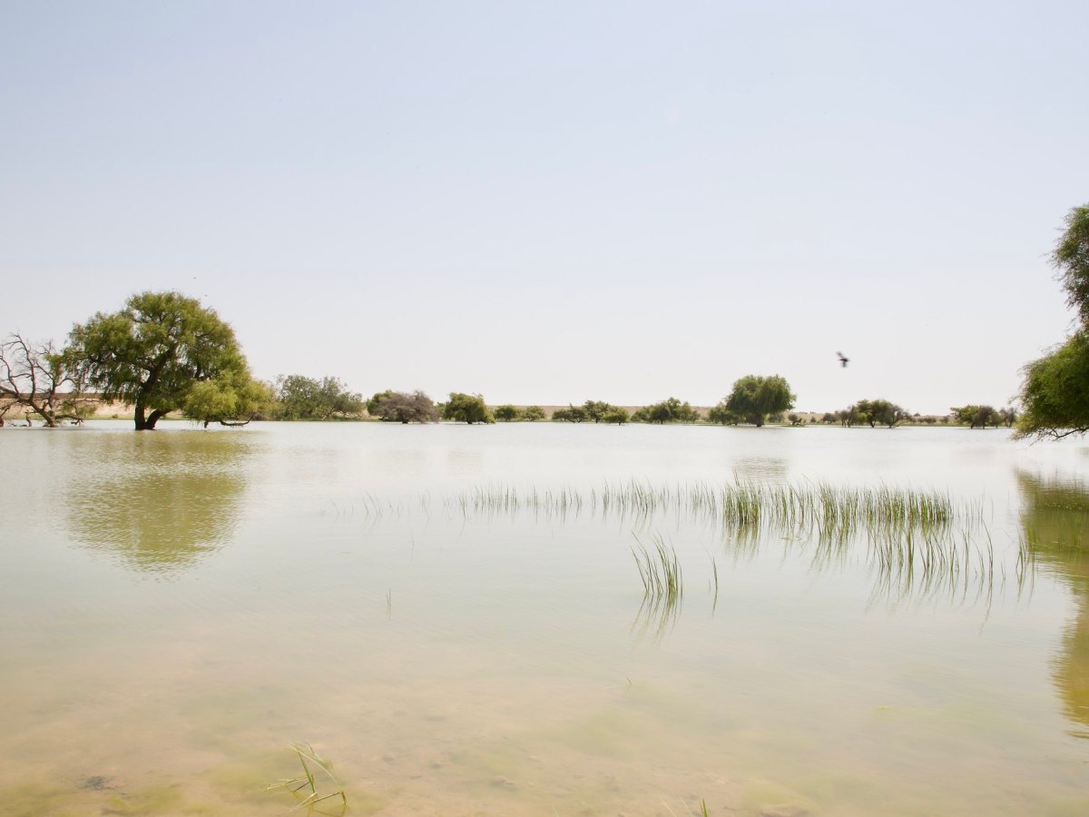 Jiyadesar Pond ~ Before and After Rain